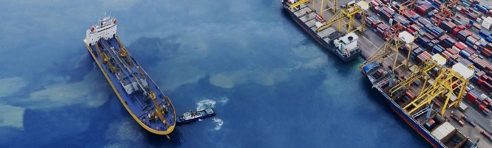 Oasis P I Services Ltd 